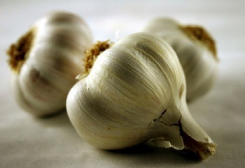 garlic-healthy-foods-12