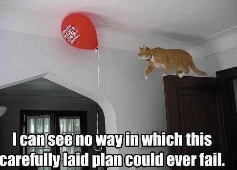 Cat Logic 5