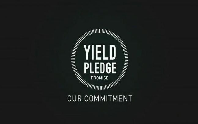 Pledge