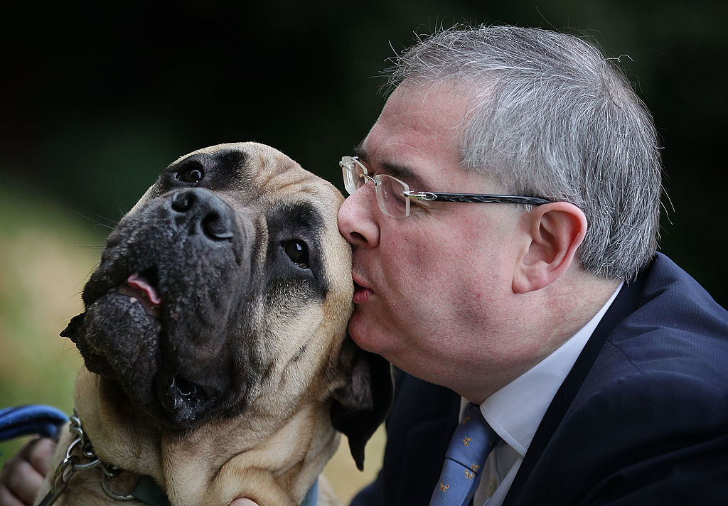 Parliamentary Dog Of The Year Show