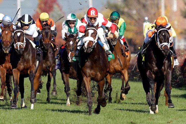 Preakness Stakes