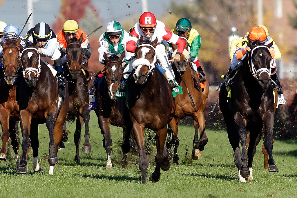 2011 Breeders' Cup World Championships - Day 1