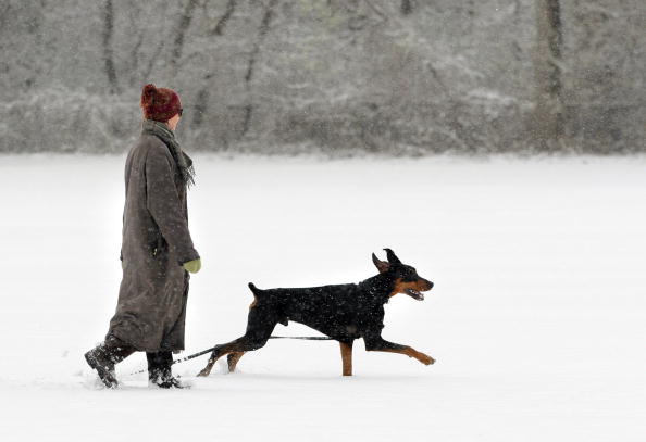 Upper Midwest Endures Late Spring Snow