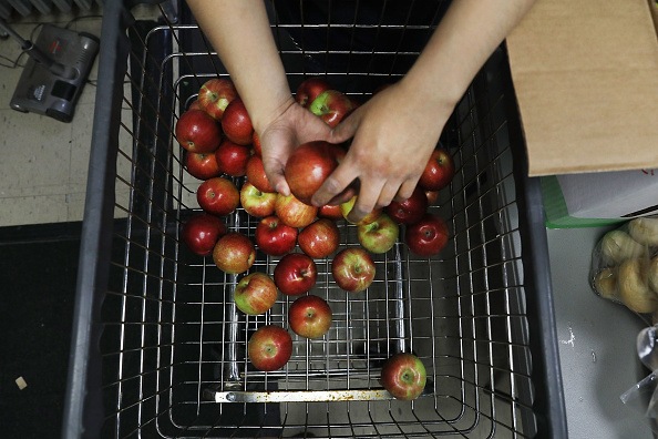 Basket full of apples