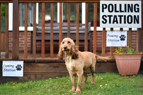 British Voters Go To The Polls In The 2017 General Election