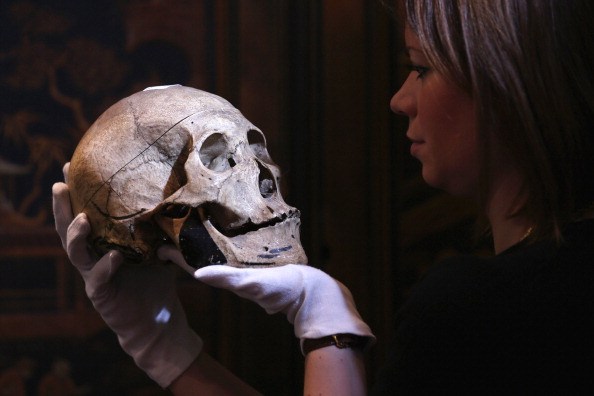 person holding a skull