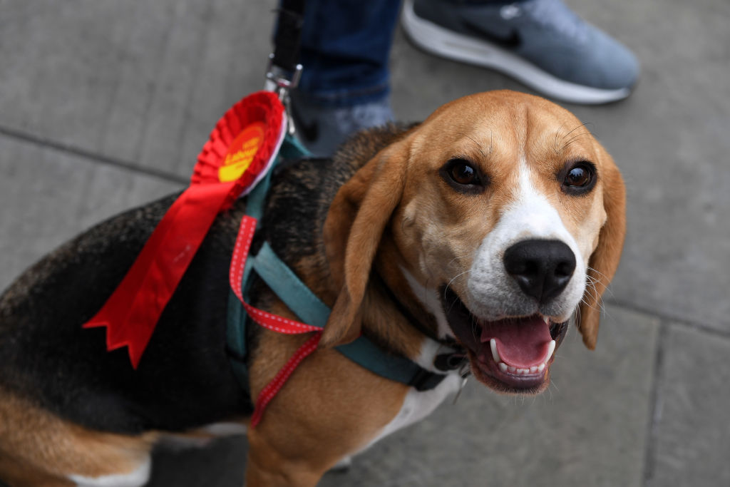 Not One Day More Protest Against Theresa May Takes Place In London