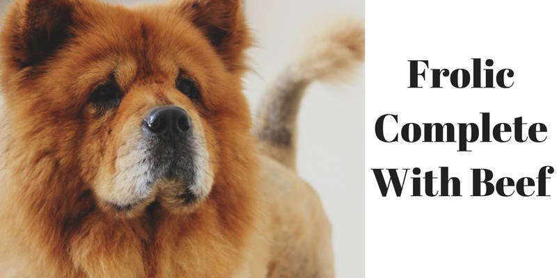 worst dog food