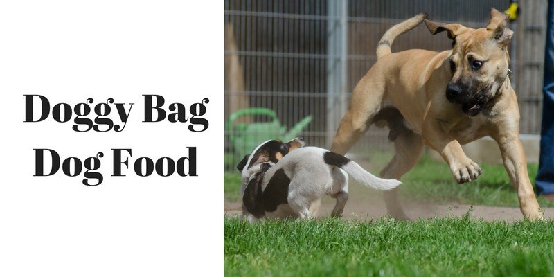 worst dog food
