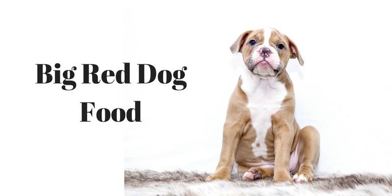 worst dog food