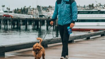 man in blue jacket and black pants standing beside brown long coated dog on dock during