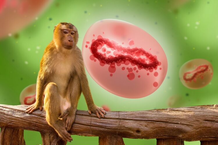 Monkeypox