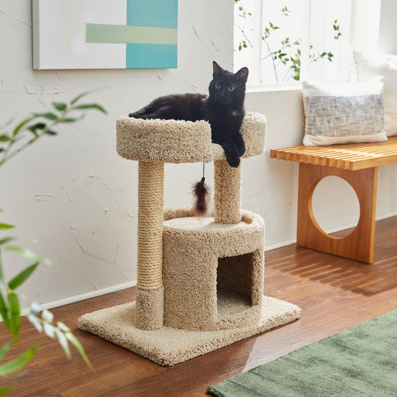 Elevated Resting Perches