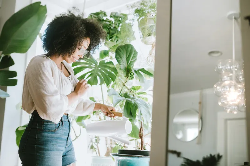 Get a plant you're responsible for taking care of