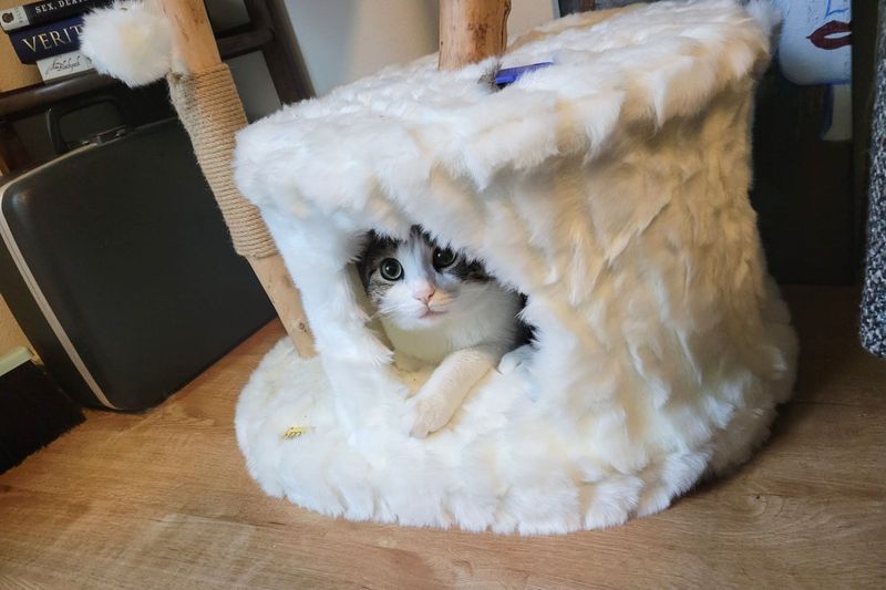Cozy Hideaway Retreats