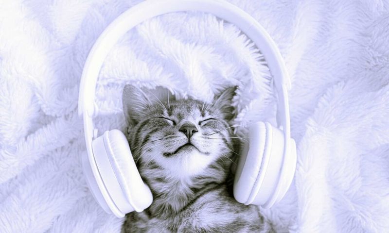 Soothing Music or White Noise