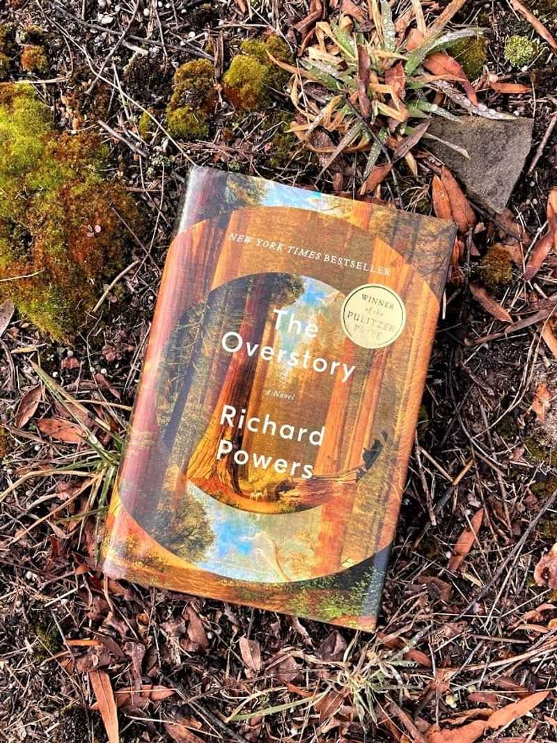 The Overstory: Reconnecting with Something Larger