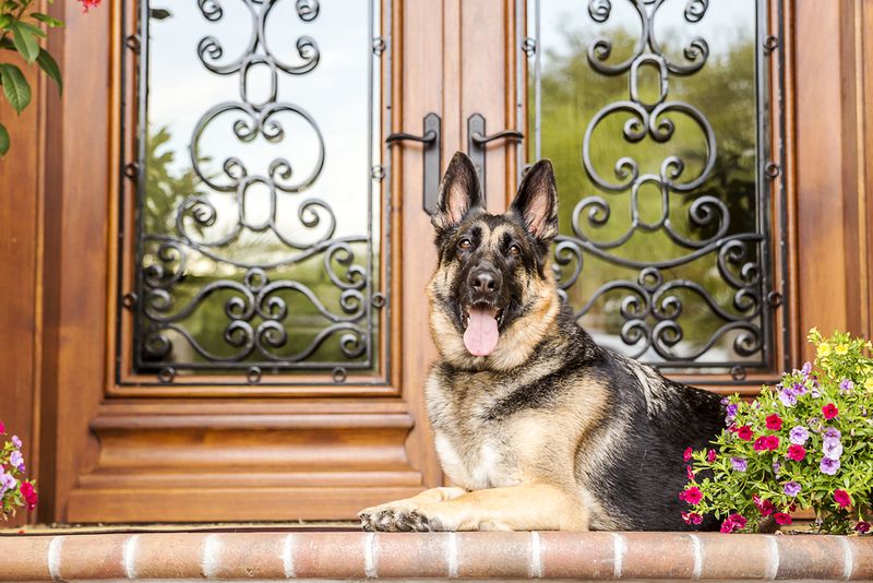 Home Security Partner