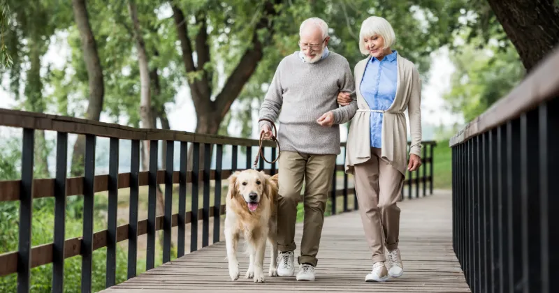 Heart-Healthy Movement