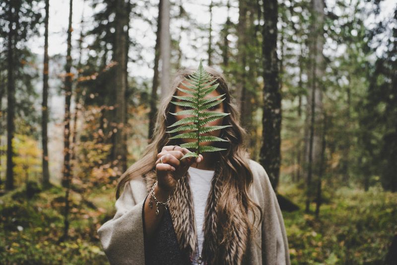 Nature Recharges Your Spiritual Batteries