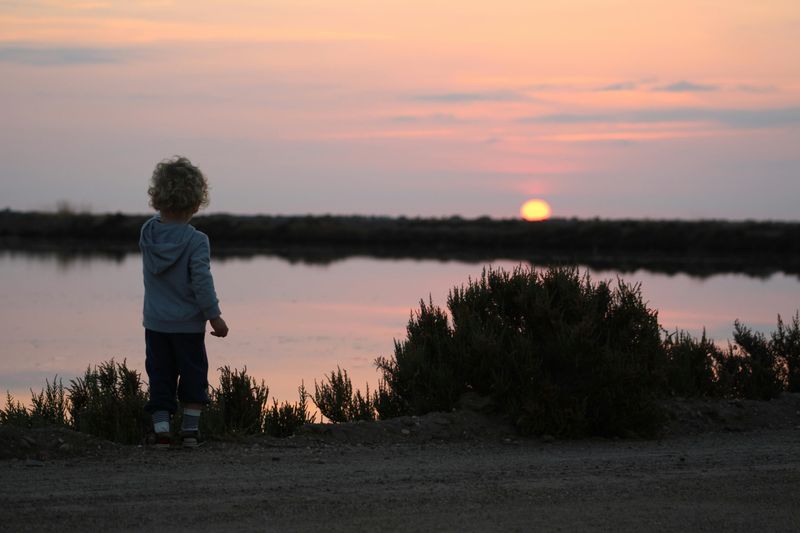 Quiet Moments Watching Fireflies