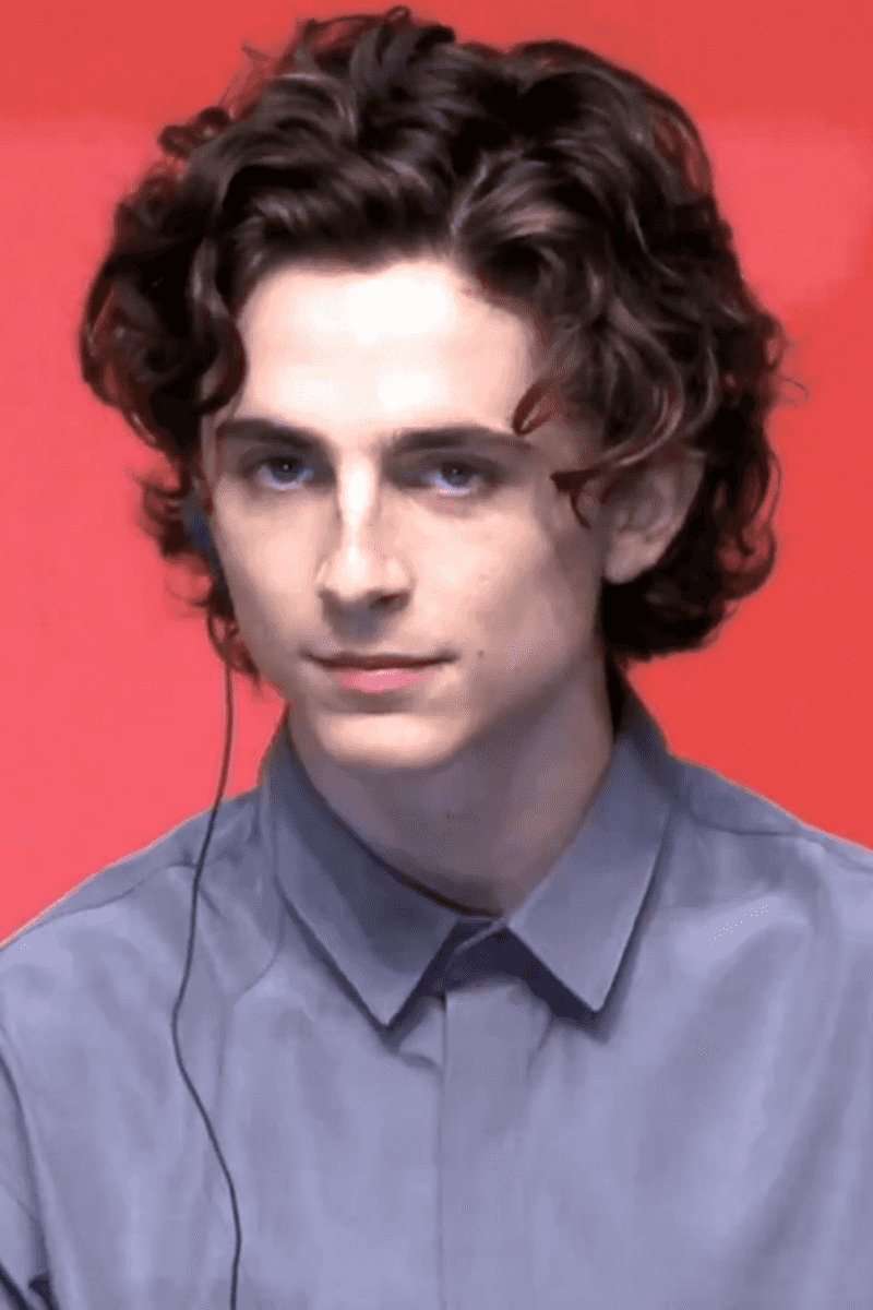Timothée Chalamet's Moral Stand Against His Work in 'A Rainy Day in New York'
