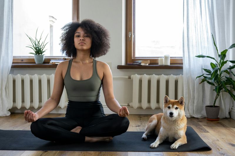 Early Morning Meditation
