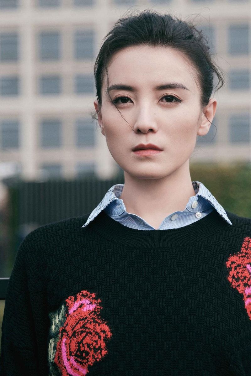 Wang Tiemei from Her Story