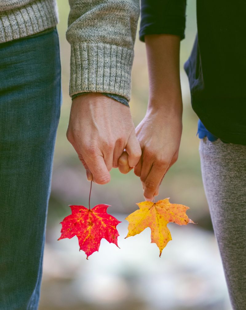 Play in the Leaves