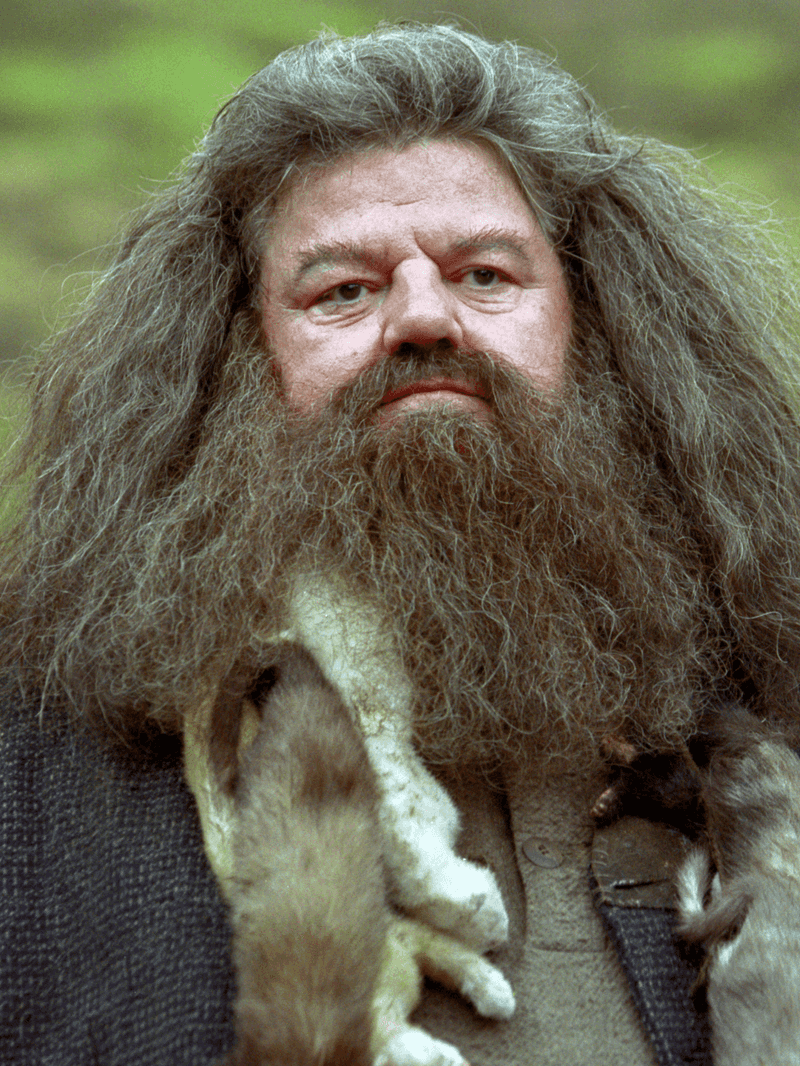 Rubeus Hagrid's Dangerous Creature Feature