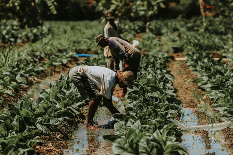 The Value of Hard Work