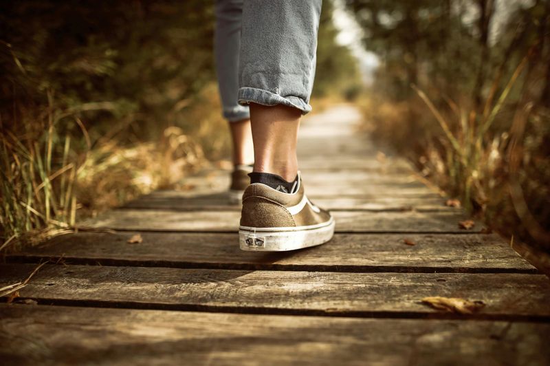 Embrace Nature and Sustainable Living