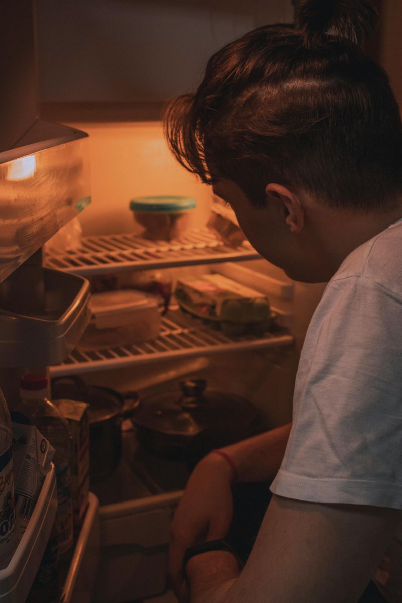 Checking The Fridge Again