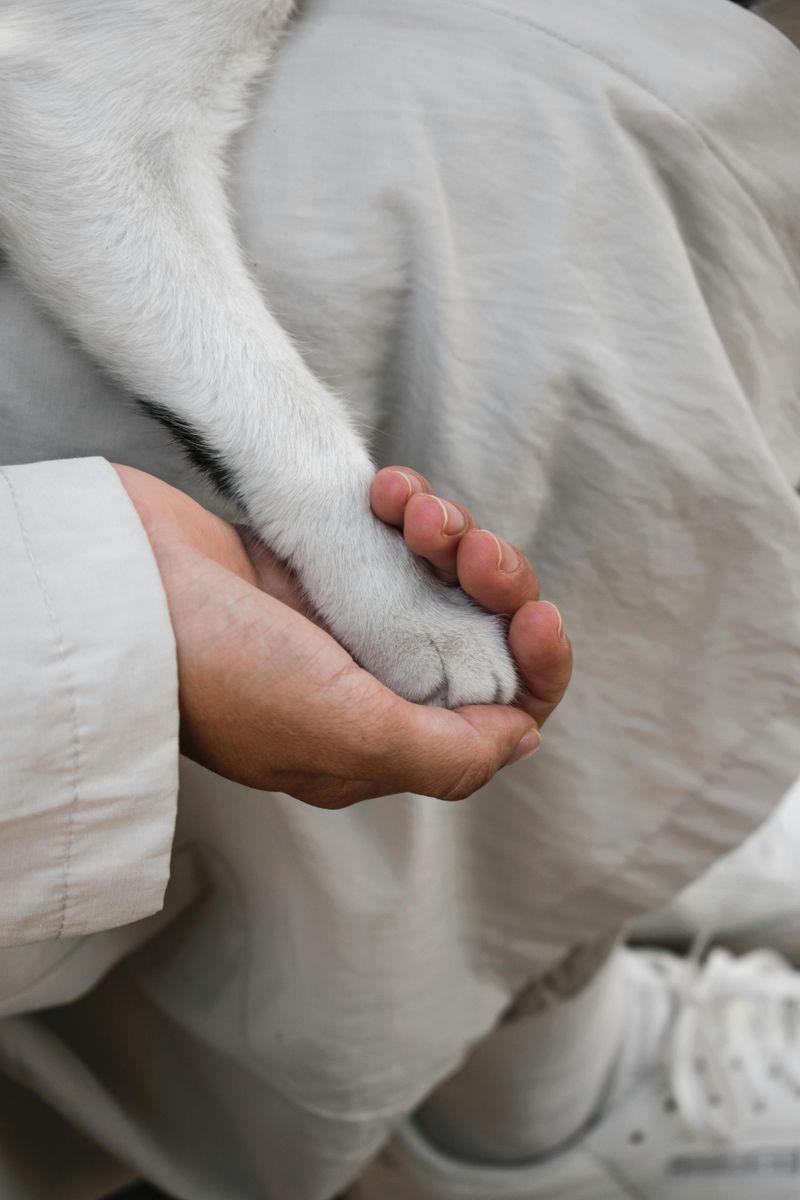 Their Behavior Around Animals