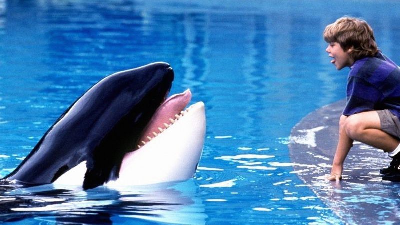 Free Willy (1993)