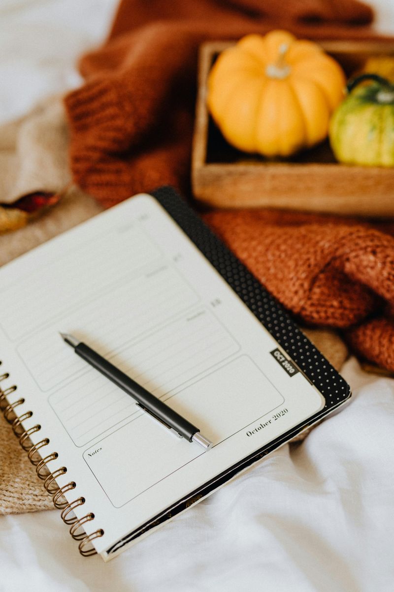 Write a Daily Gratitude or Reflection Entry