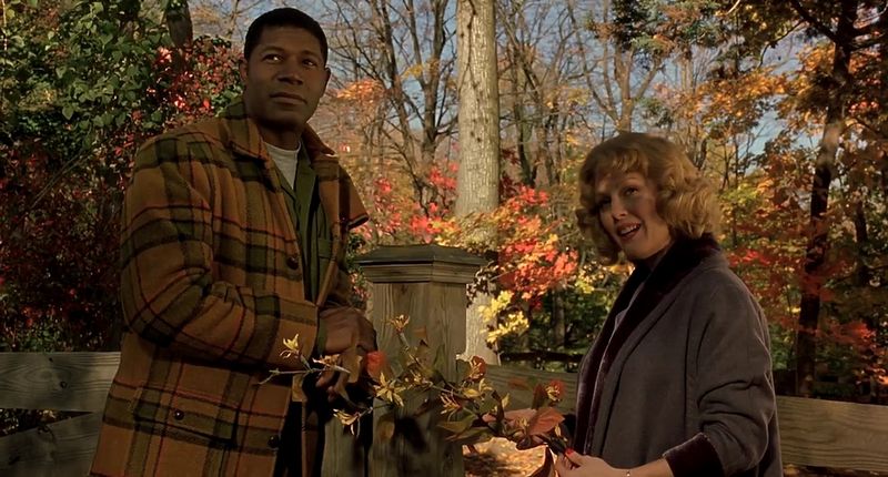 Far From Heaven (2002)