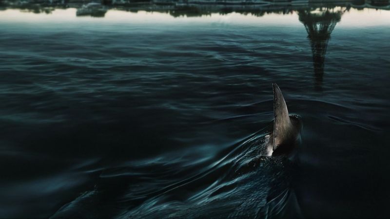 12 Netflix Thrillers So Well-Crafted You'll Be Hooked Before the Plot Thickens