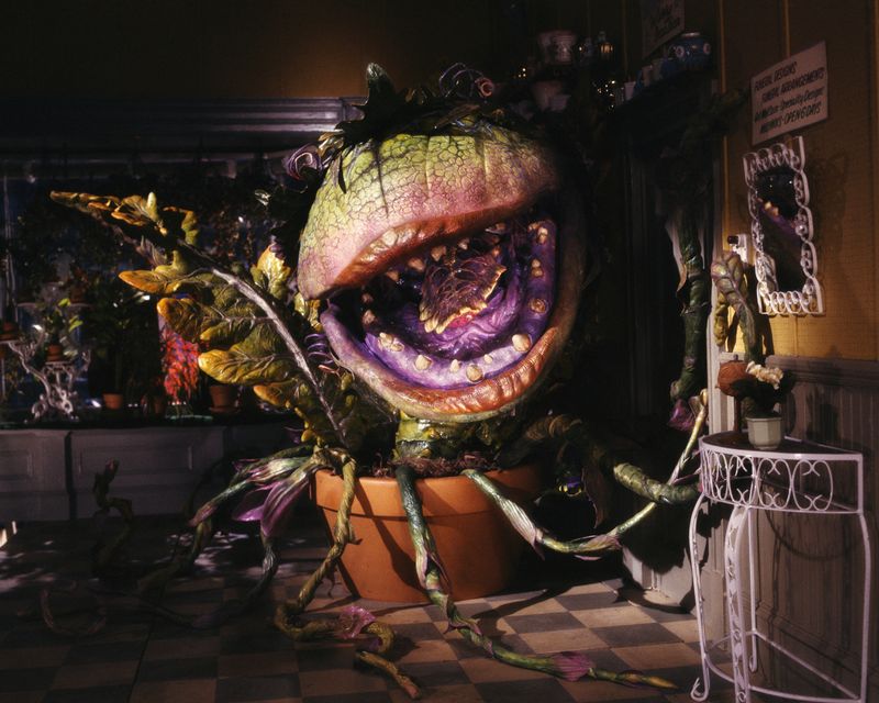 Little Shop of Horrors (1986)