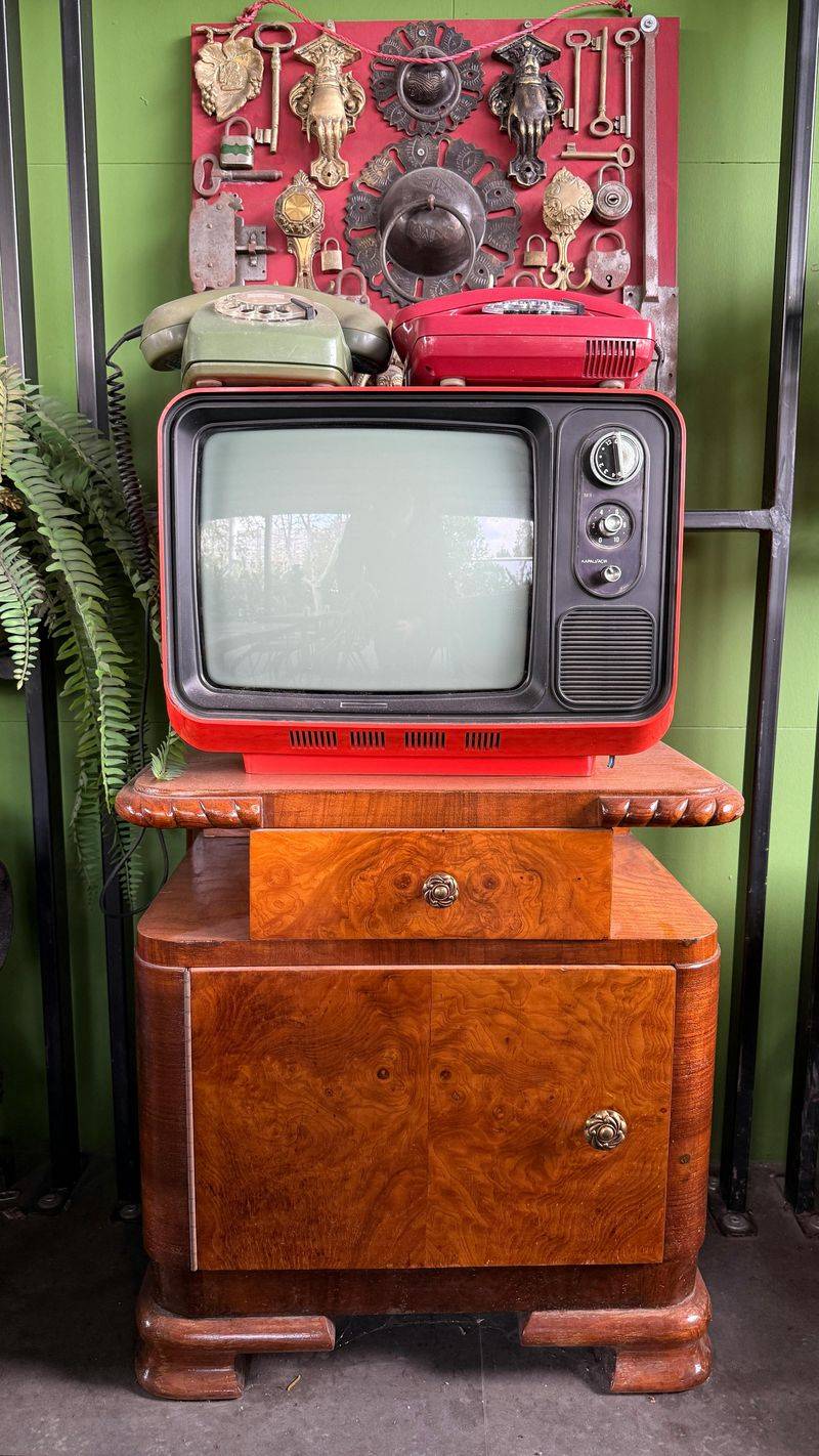 TV Guides and Scheduled Programming