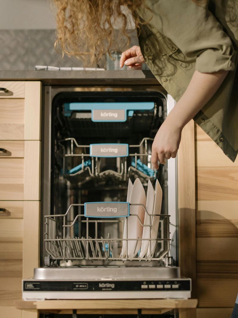 Dishwasher Loading Disasters