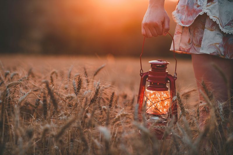 Catching Fireflies in Jars