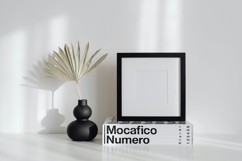Ultra-Minimalist Décor