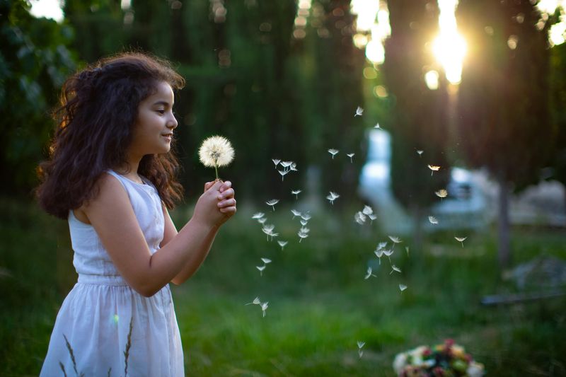 Blowing Dandelion Seeds to Make Wishes