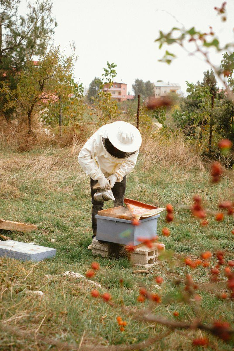 Beekeeping