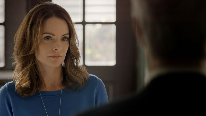 The Christmas Train (2017)