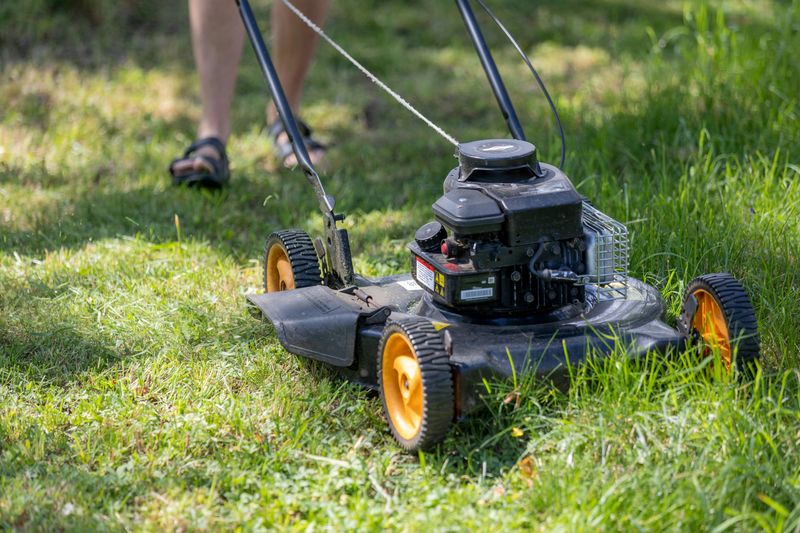 Gas-Powered Lawn Tools