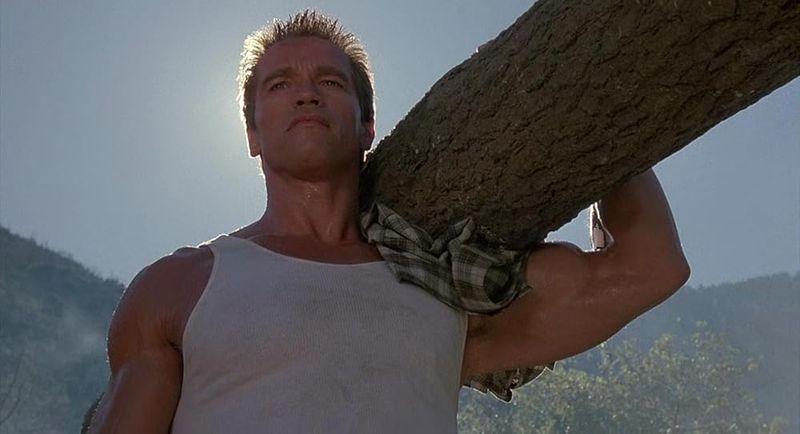 Arnold Schwarzenegger 