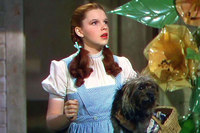 Dorothy's Sweet Braided Pigtails