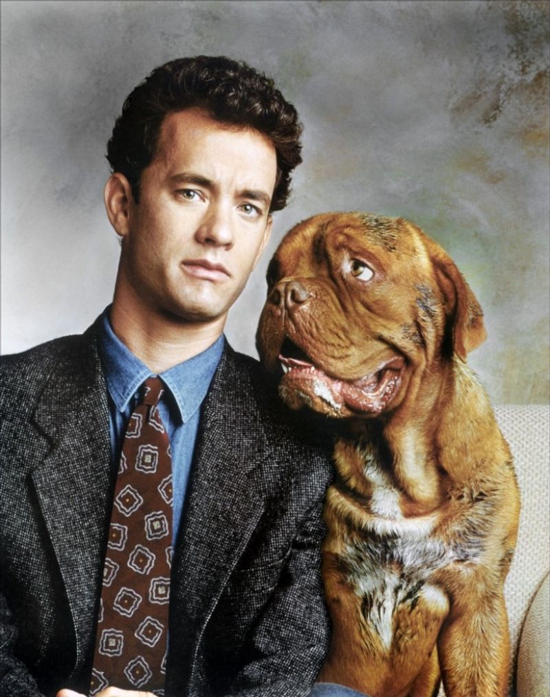 12 Movie Animals Who Completely Outshined Their Human Co-Stars